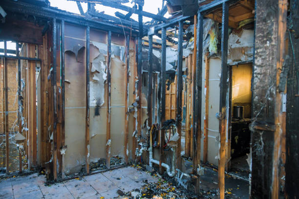 Professional Fire Damage Repair technician working in Adams, WI